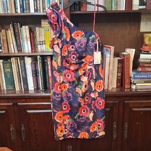 Alex Marie Floral Dress in Red and Blue